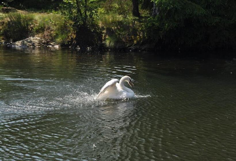 فندق Gondelfahrt