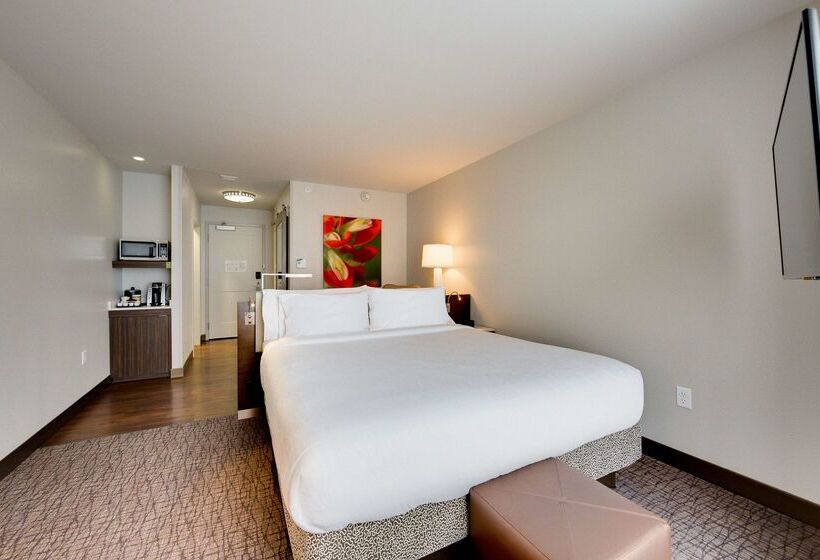 Отель Hilton Garden Inn North Houston Spring