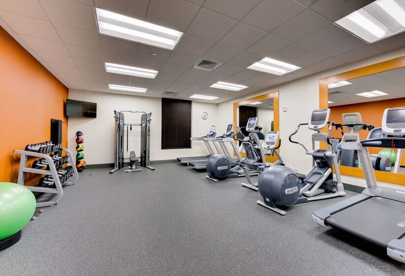 Отель Hilton Garden Inn North Houston Spring