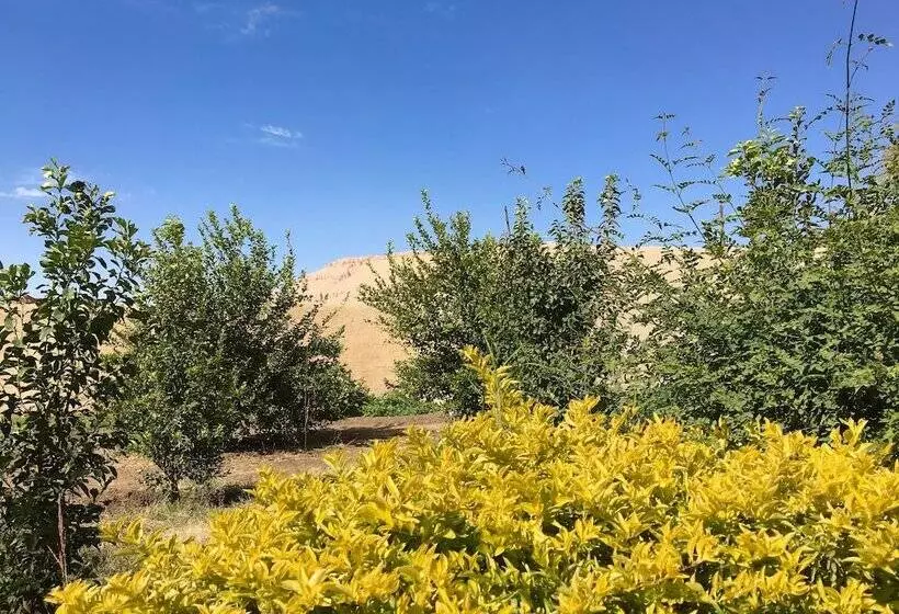 هتل New Memnon