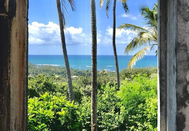 בית מלון כפרי Pousada Tatuapara