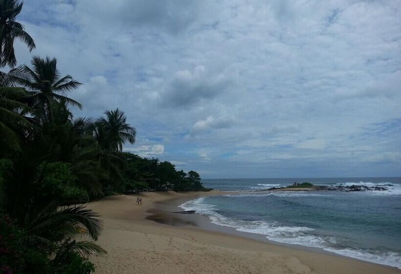 Пансион Saman Homestay