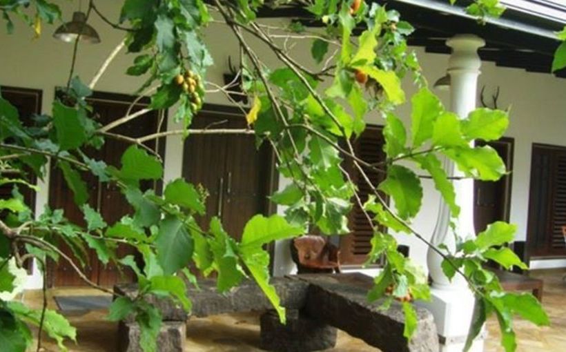 Пансион Mahawewa Nature Resort