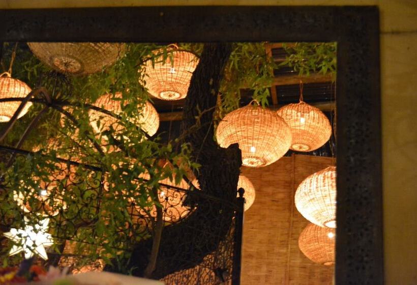 膳宿费 Moroccan House