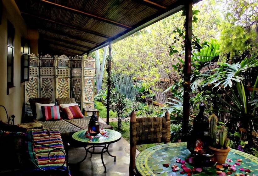 膳宿费 Moroccan House