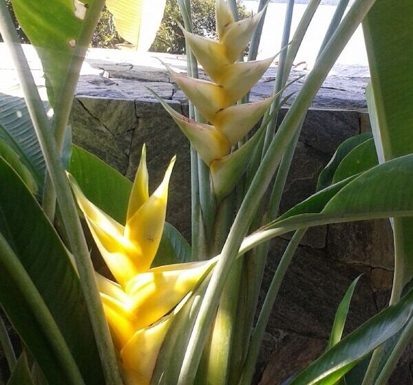 펜션 Sea Heart House On Koggala Lake