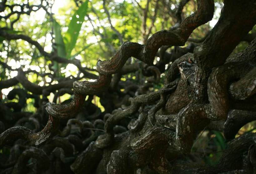 Pensão Sea Heart House On Koggala Lake