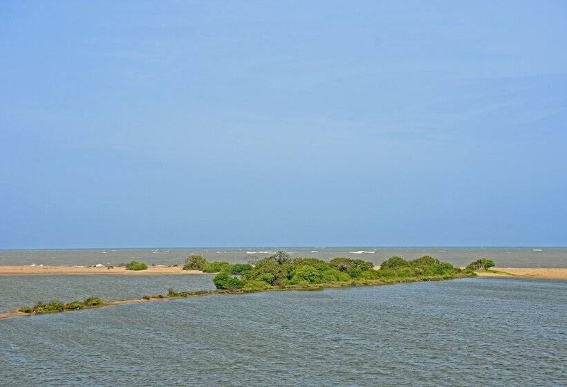 膳宿费 Villa Santé