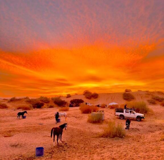 تختخواب و صبحانه Petra Desert Dream