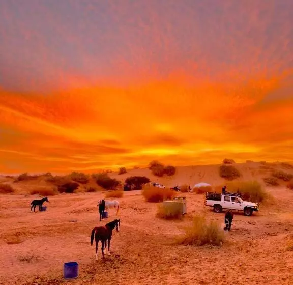تختخواب و صبحانه Petra Desert Dream