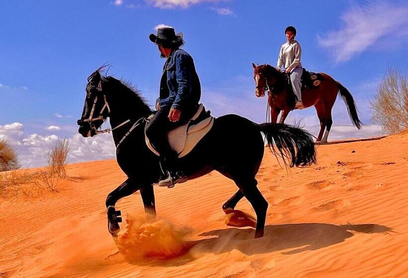 تختخواب و صبحانه Petra Desert Dream