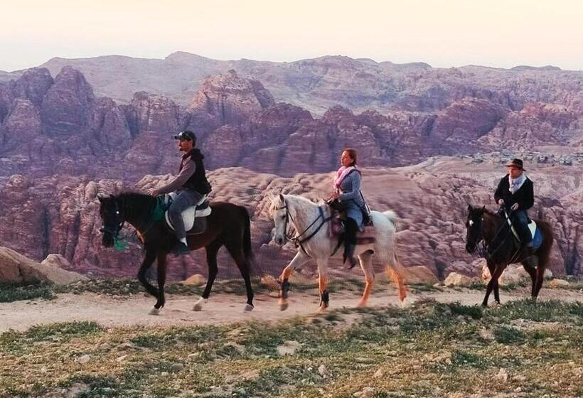 تختخواب و صبحانه Petra Desert Dream