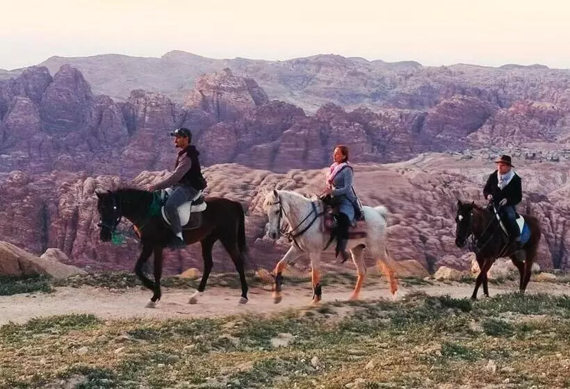 تختخواب و صبحانه Petra Desert Dream