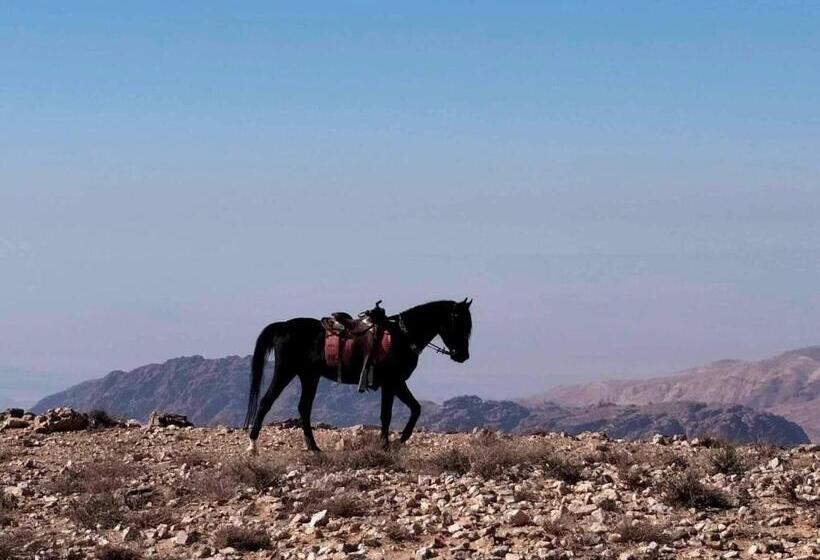 تختخواب و صبحانه Petra Desert Dream