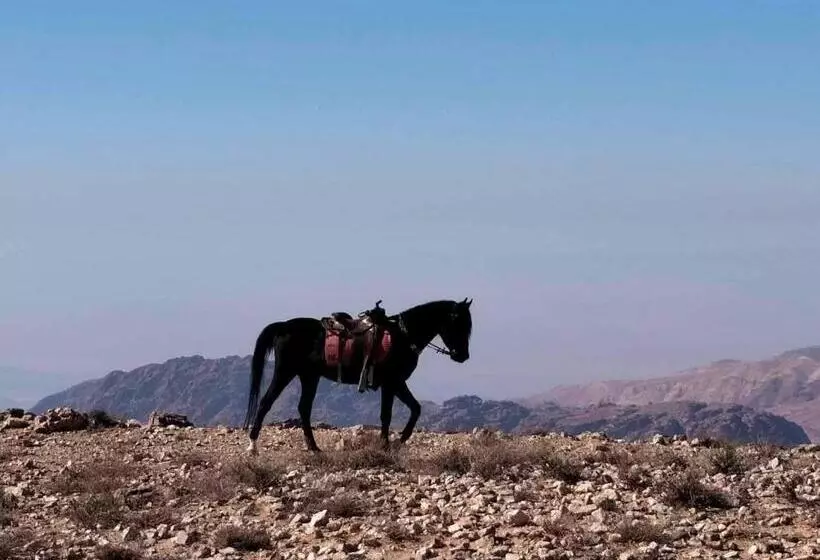 تختخواب و صبحانه Petra Desert Dream