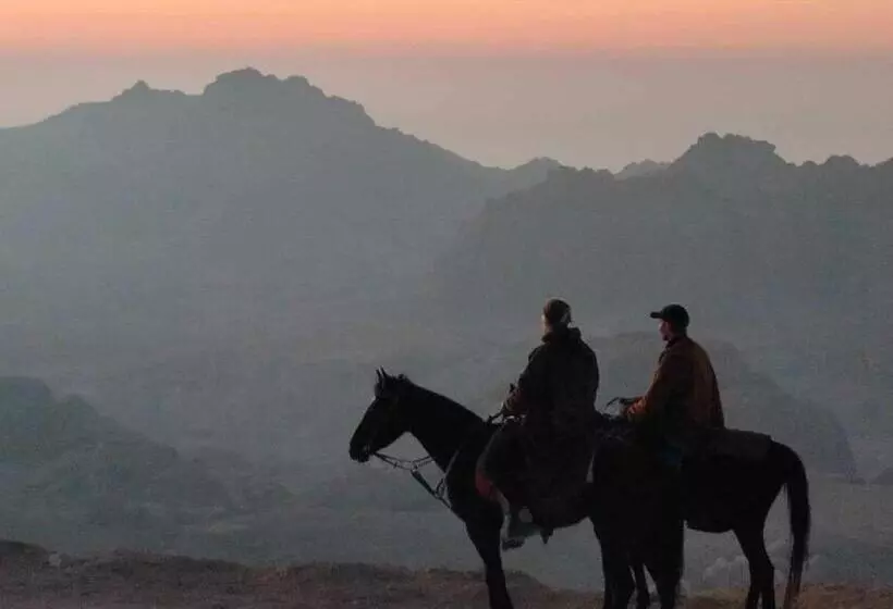 تختخواب و صبحانه Petra Desert Dream