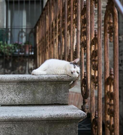 민박 Locanda Nel Cassero