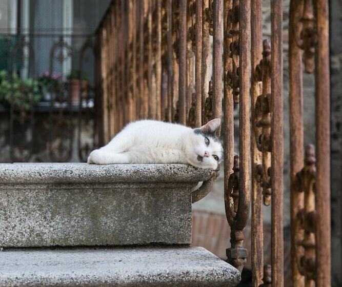 민박 Locanda Nel Cassero
