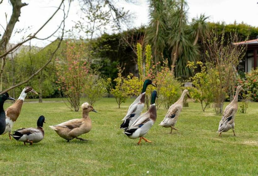 Bed and Breakfast The Cedars