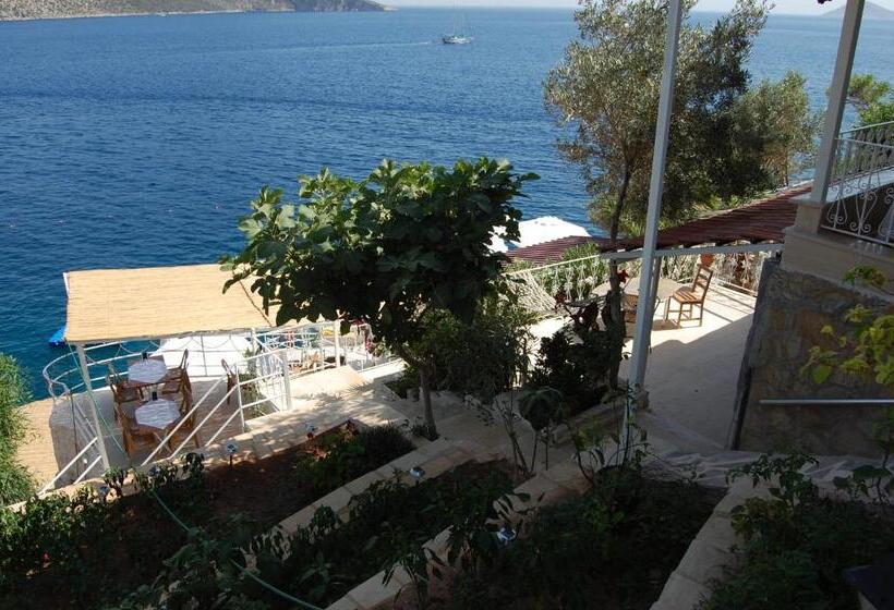 בית מלון כפרי Caretta