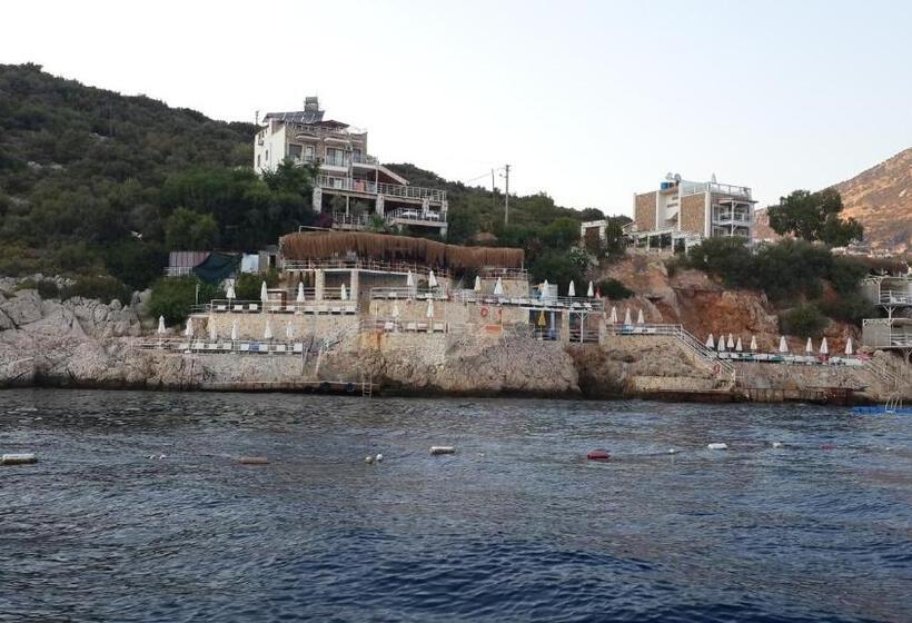 בית מלון כפרי Caretta