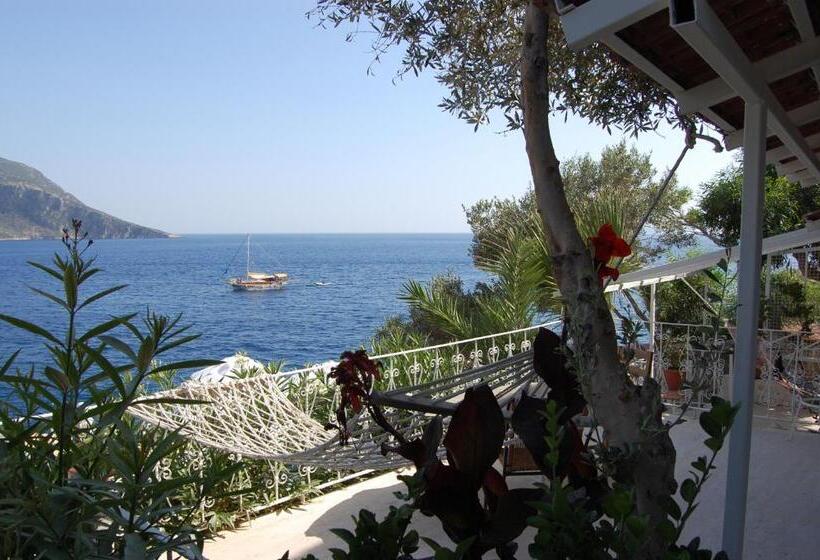 בית מלון כפרי Caretta