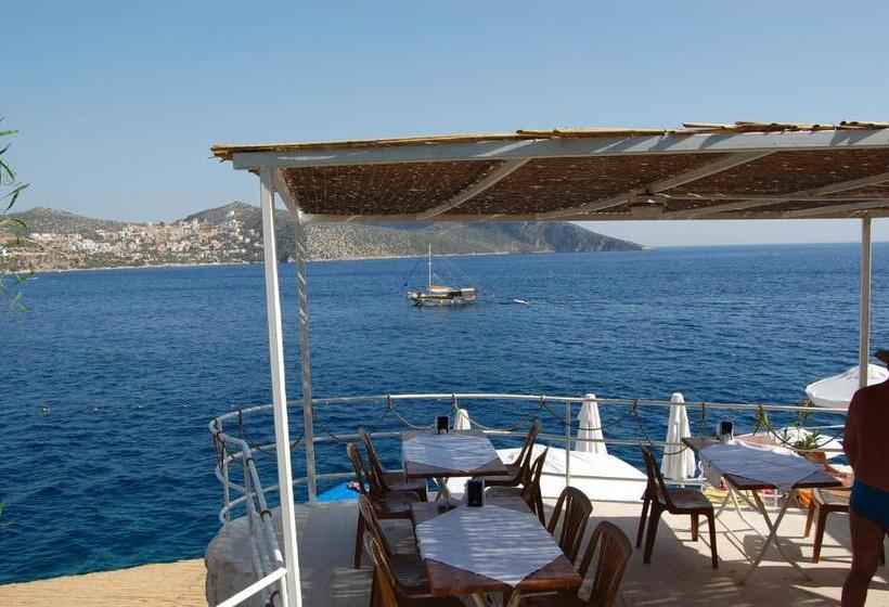 בית מלון כפרי Caretta