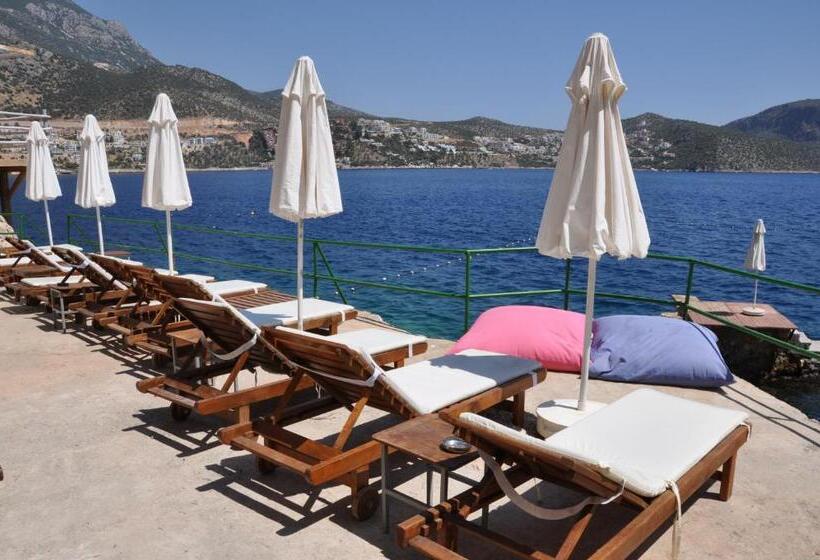 בית מלון כפרי Caretta