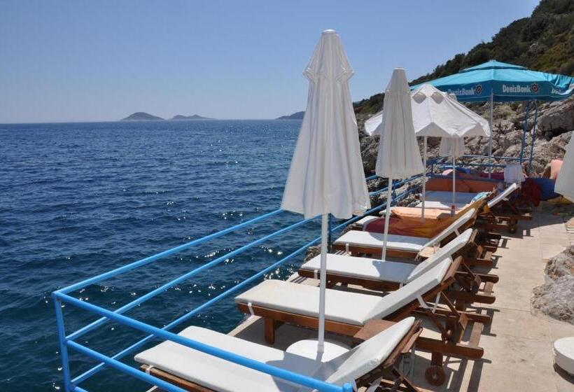 בית מלון כפרי Caretta