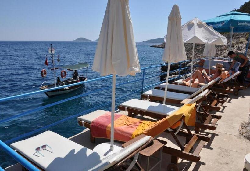 בית מלון כפרי Caretta