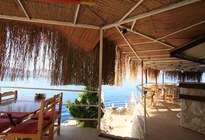 בית מלון כפרי Caretta