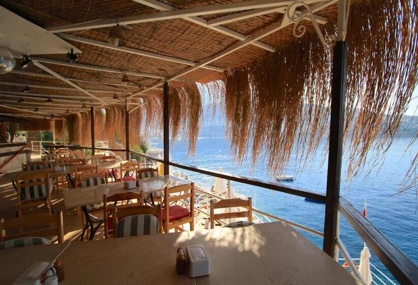 בית מלון כפרי Caretta