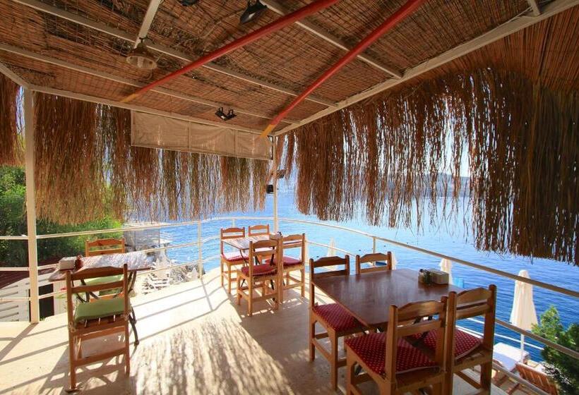 בית מלון כפרי Caretta