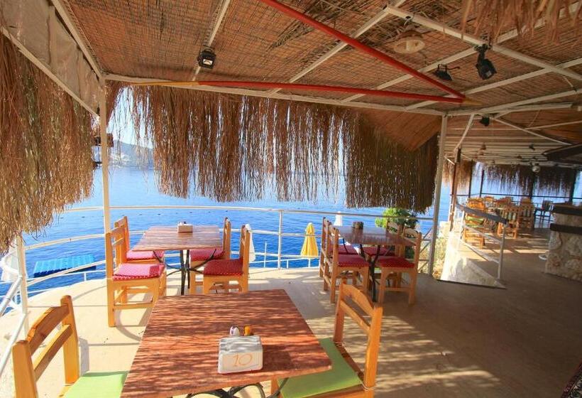 בית מלון כפרי Caretta