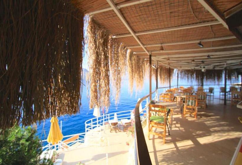 בית מלון כפרי Caretta