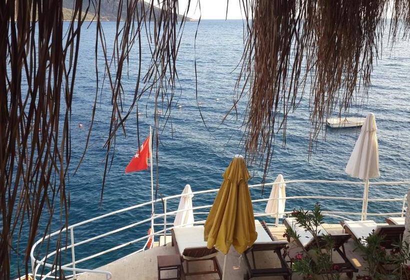 בית מלון כפרי Caretta