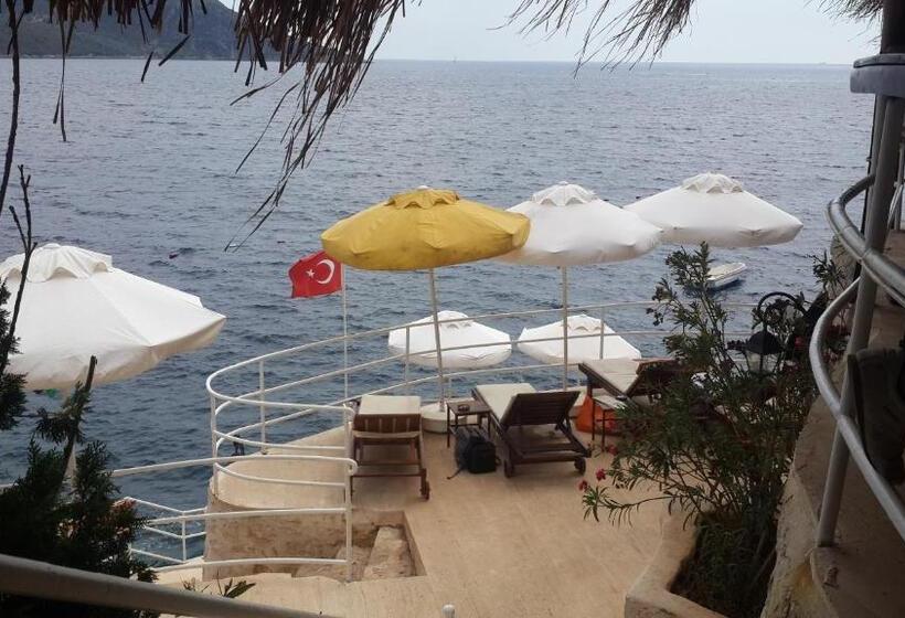 בית מלון כפרי Caretta