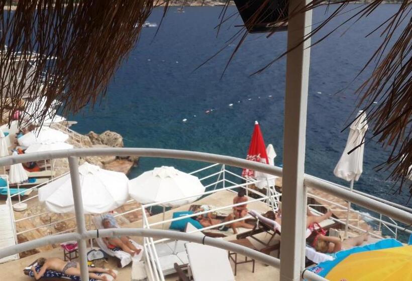 בית מלון כפרי Caretta