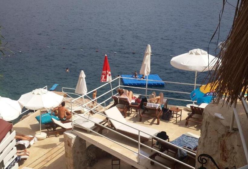 בית מלון כפרי Caretta