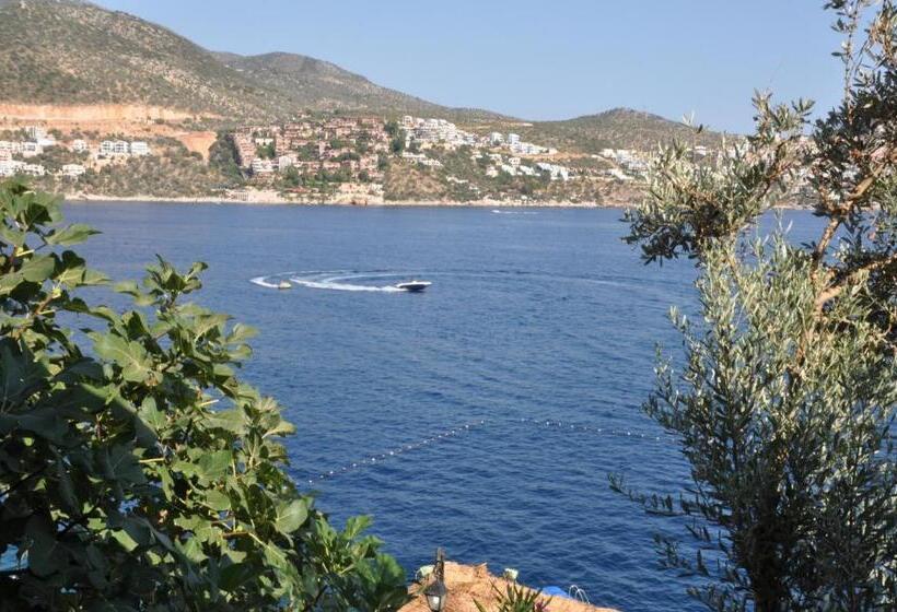 בית מלון כפרי Caretta