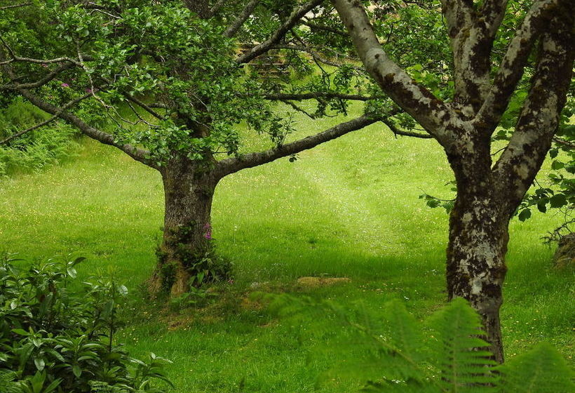 בית מלון כפרי Glencanisp Lodge