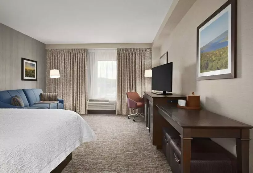 ホテル Hampton Inn Penn Yan