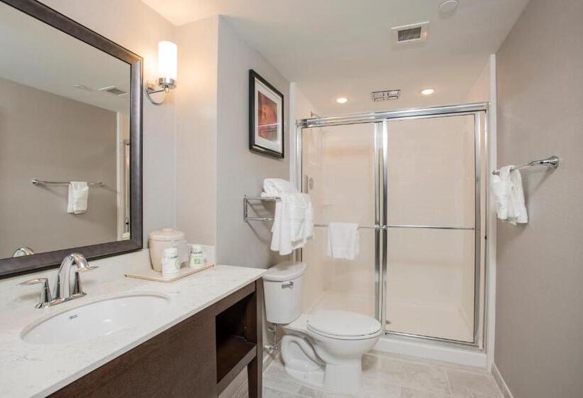 ホテル Voco The Clair Cincinnati Downtown, An Ihg