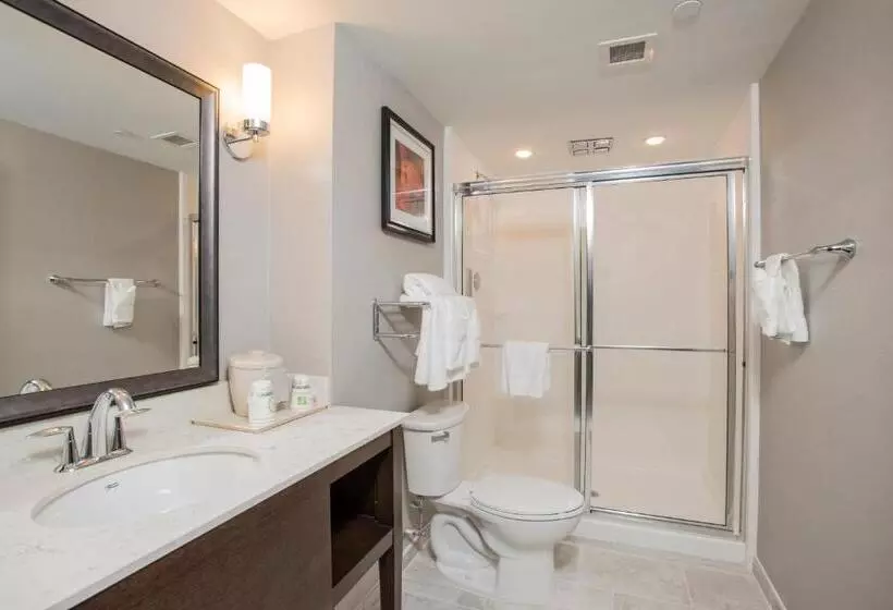 ホテル Voco The Clair Cincinnati Downtown, An Ihg