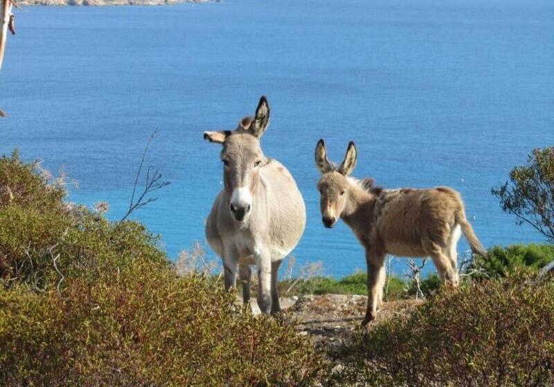 בית מלון כפרי Silvestrino