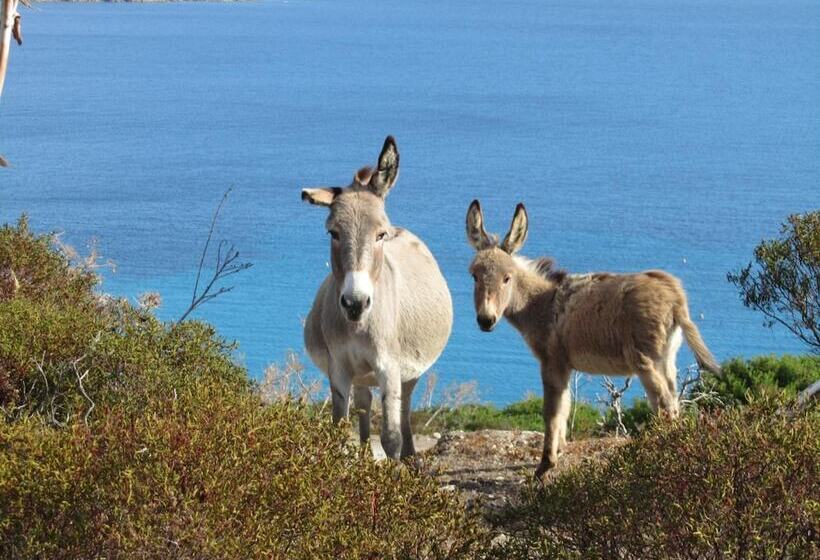 בית מלון כפרי Silvestrino