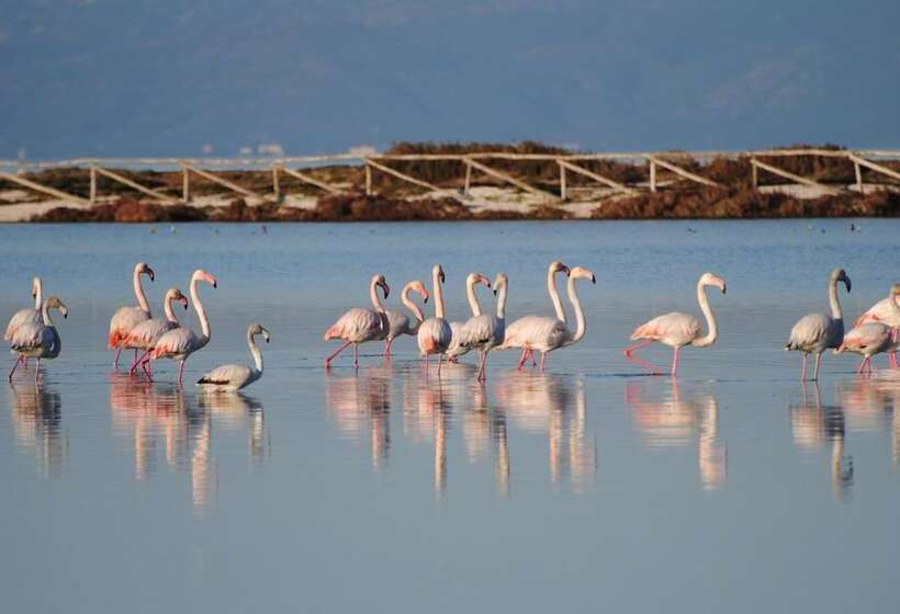 בית מלון כפרי Silvestrino