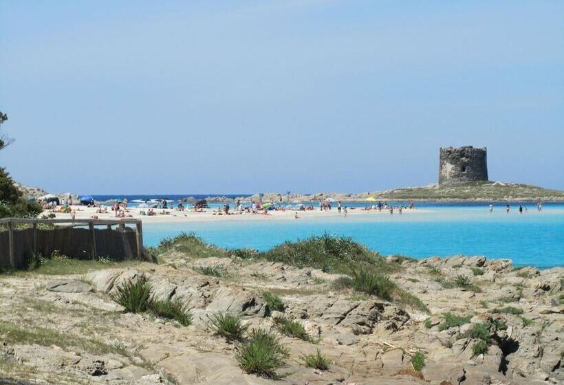 בית מלון כפרי Silvestrino