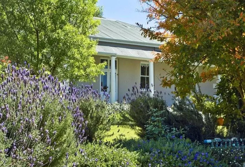 ペンション Montagu Vines Guesthouse