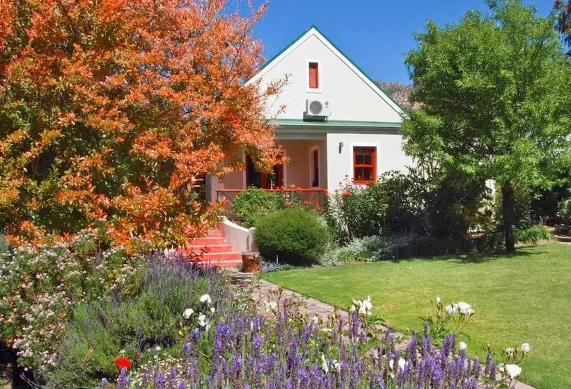 ペンション Montagu Vines Guesthouse